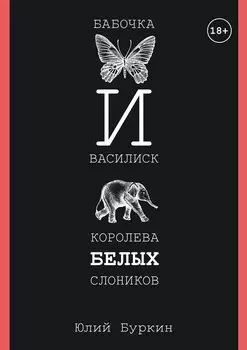Бабочка и Василиск, Королева белых слоников