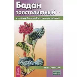 Бадан толстолистный - в лечении болезней внутренних органов