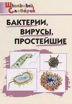 Бактерии, вирусы, простейшие. Начальная школа