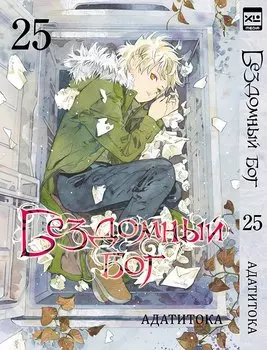 Бездомный бог. Том 25 (Noragami). Манга