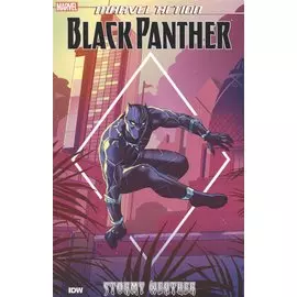 Black Panther. Stormy weather. Book 1