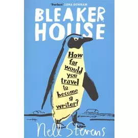Bleaker House (м) Stevens