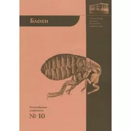 Блохи - домашние или домовые животные?