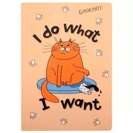 Блокнот I do what I want