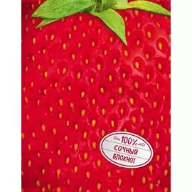 Блокнот. Клубника (на металлизированной пленке)