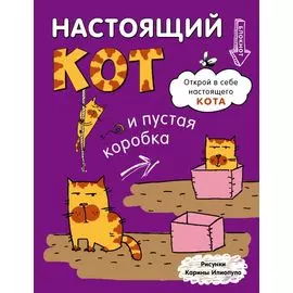 Блокнот. Настощий кот и пустая коробка