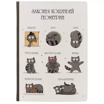 Блокнот «Законы кошачьей геометрии», 192 страницы, А5