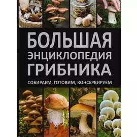 Большая энциклопедия грибника. Собираем, готовим, консервируем.