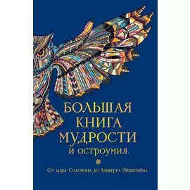 Большая книга мудрости и остроумия / Изд. 13-е, испр.