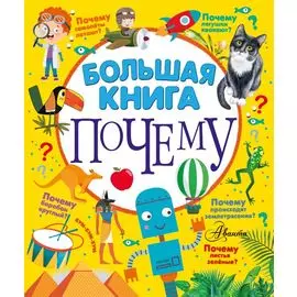 Большая книга почему