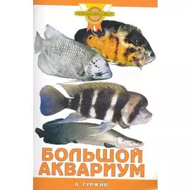 Большой аквариум