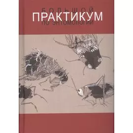 Большой практикум по энтомологии. Учебное пособие