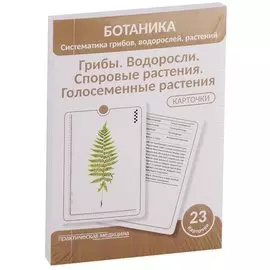 Ботаника. Систематика грибов, водорослей, растений. Грибы. Водоросли. Споровые растения. Голосеменные растения. 23 карточки