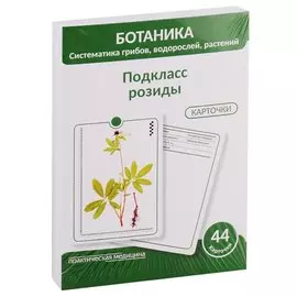 Ботаника. Систематика грибов, водорослей, растений. Подкласс розиды. 44 карточки