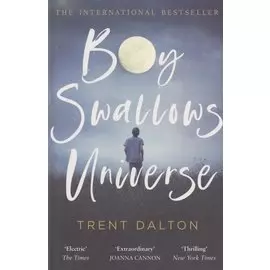 Boy Swallows Universe