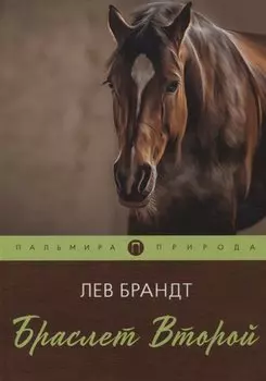 Браслет Второй