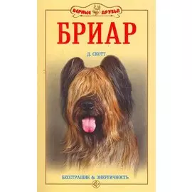 Бриар. Бесстрашие и энергичность