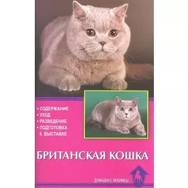 Британская кошка. Содержание. Уход. Разведение. Подготовка к выставке
