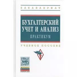 Бухгалтерский учет и анализ. Практикум. Учебное пособие