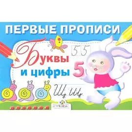 Первые прописи. Буквы и цифры