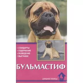 Бульмастиф. Стандарты. Содержание. Разведение. Профилактика заболеваний. Выставки