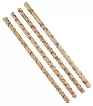 Бумага упаковочная 70*100см "Крылатые созданья" крафт, инд.уп., ассорти