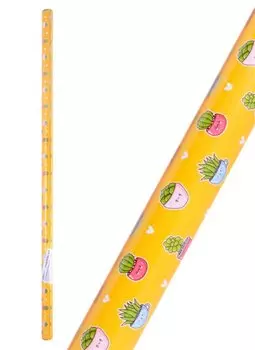 Бумага упаковочная 70*100см "Яркие краски" суперглад., инд.уп., ассорт