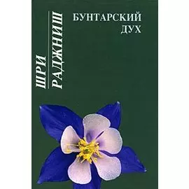 Бунтарский дух