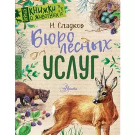 Бюро лесных услуг