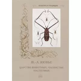 Царство животных. Членистые. Насекомые