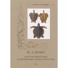 Царство животных. Позвоночные. Рыбы и рептилии