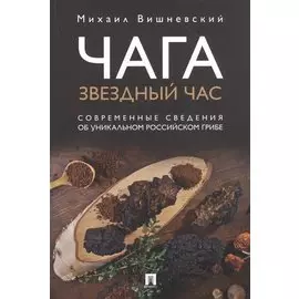 Чага: Звездный час. Современные сведения об уникальном российском грибе