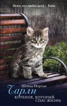 Чарли. Котенок, который спас жизнь: роман