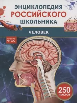 Человек. 250 фактов. Энциклопедия российского школьника