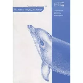 Человек и подводный мир