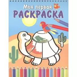 Черепашка и попугай