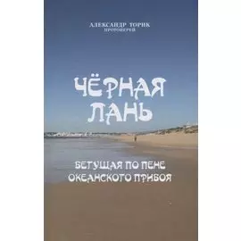 Черная лань, бегущая по пене океанского прибоя