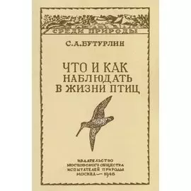 Что и как наблюдать в жизни птиц