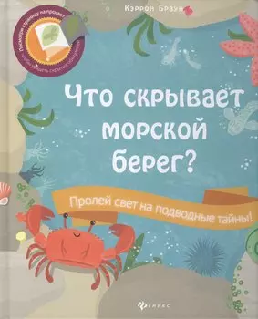 Что скрывает морской берег?