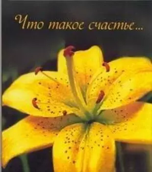 Что такое счастье…