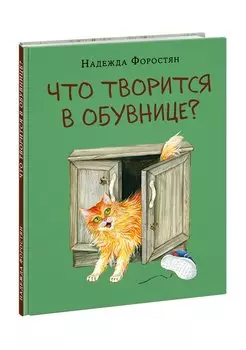Что творится в обувнице?