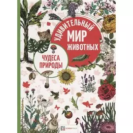 Чудеса природы