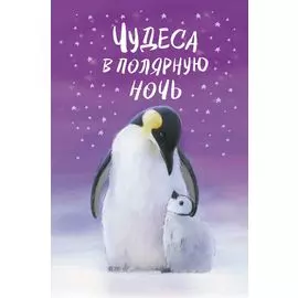 Чудеса в полярную ночь