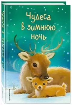 Чудеса в зимнюю ночь (выпуск 2)