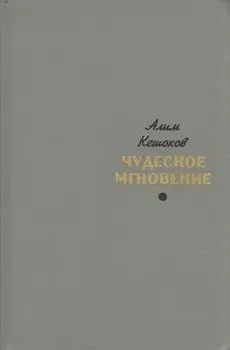 Чудесное мгновение