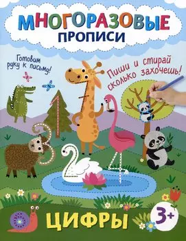 Цифры. Пиши и стирай сколько захочешь!