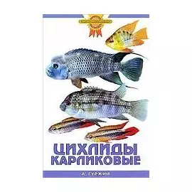 Цихлиды карликовые