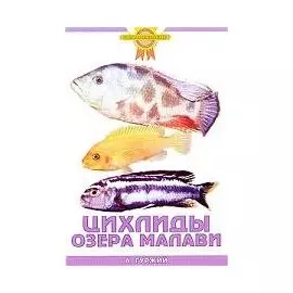 Цихлиды озера Малави