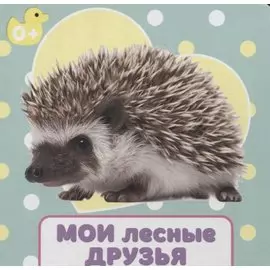 ЦК 145х145. МОИ ЛЕСНЫЕ ДРУЗЬЯ