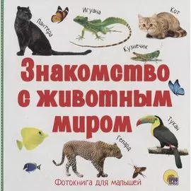 Знакомство с животным миром